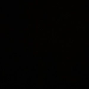 Meet your Posher, Jesus